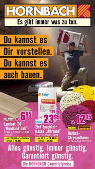Aktueller Hornbach Prospekt (Ney, 32 Seiten zum blÀttern Hornbach Prospekt Du kannst es Dir vorstellen. Du kannst es auch bauen. mit 32 Seiten