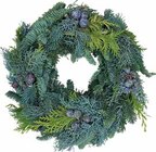 Mix-Kranz von Kölle im aktuellen Pflanzen Kölle Prospekt für 14,99 €