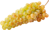 RAISIN CHASSELAS AOP - SANS MARQUE en promo chez Auchan Hypermarché RAISIN CHASSELAS AOP - SANS MARQUE dans le catalogue Auchan Hypermarché