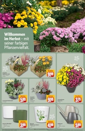Gartengeräte im REWE Prospekt in Wetzlar Aktueller REWE Prospekt mit Gartengeräte, "Dein Markt", Seite 23