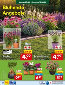 Blumen im aktuellen Netto Marken-Discount Prospekt (Mönchengladbach) Blumen im Netto Marken-Discount Prospekt "Aktuelle Angebote" mit 63 Seiten (Mönchengladbach)
