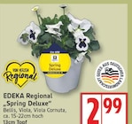 Spring Deluxe von EDEKA Regional im aktuellen EDEKA Prospekt für 2,99 €