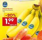 Aktuelle Bananen Angebote bei Netto Marken-Discount in Siegen (Universitätsstadt) Aktuelles Bananen Angebot bei Netto Marken-Discount in Siegen (Universitätsstadt) ab 1,99 €