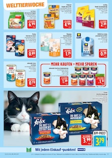 Katzenfutter im Marktkauf Prospekt "AUSWAHL RIESIG, PREISE NIEDRIG" mit 44 Seiten (Erlangen)