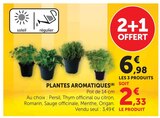 Plantes Aromatiques - Super U à Savigny-sur-Orge Plantes Aromatiques en promo chez Super U Savigny-sur-Orge à 6,98 €