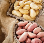 Promo Pommes de terre de consommation à chair ferme à 1,69 € dans le catalogue Intermarché Contact à Velaine-sous-Amance