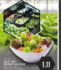 Aktuelles Frischer Salat aus unserer Salatbar Angebot bei EDEKA in Bochum ab 1,11 €