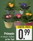 Primeln Angebote bei E center Germering für 0,99 €