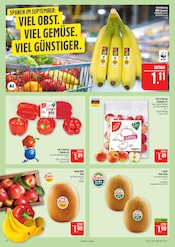 Bananen im Marktkauf Prospekt in Hof Aktueller Marktkauf Prospekt mit Bananen, "AUSWAHL RIESIG, PREISE NIEDRIG", Seite 10