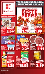 Kaufland Prospekt für Schmölln mit 70 Seiten Kaufland Prospekt "Hier bin ich richtig" für Schmölln, 70 Seiten, 08.10.2026 - 14.10.2026