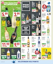 Aktueller Marktkauf Prospekt mit Wild, "Aktuelle Angebote", Seite 14