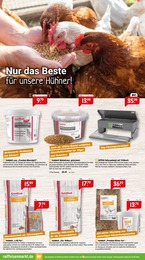Eier Angebot & Preis im aktuellen Raiffeisenmarkt Prospekt Eier Angebot im aktuellen Raiffeisenmarkt Prospekt auf Seite 8