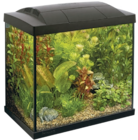 KIT AQUARIUM START 30 TROPICAL NOIR 27L - SUPERFISH en promo chez Animalis KIT AQUARIUM START 30 TROPICAL NOIR 27L - SUPERFISH dans le catalogue Animalis