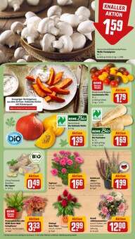 Tomaten im aktuellen REWE Prospekt (Nürnberg) Tomaten im REWE Prospekt "Dein Markt" mit 22 Seiten (Nürnberg)
