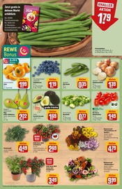 Dekoration im REWE Prospekt in Brandenburg Aktueller REWE Prospekt mit Dekoration, "Dein Markt", Seite 9