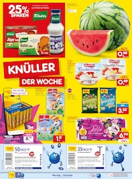 Akku im Netto Marken-Discount Prospekt "Aktuelle Angebote" auf Seite 2