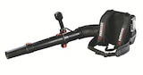 Rucksacksacklaubbläser 40 V im Angebot bei Lidl in Lutherstadt Wittenberg Rucksacksacklaubbläser 40 V Angebote von Parkside Performance bei Lidl Lutherstadt Wittenberg für 89,99 €