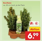 Koniferen für 6,99 € bei Netto Marken-Discount im Angebot Koniferen im aktuellen Netto Marken-Discount Prospekt