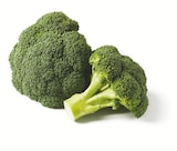 Bio Brokkoli im Angebot bei Lidl in Jena Bio Brokkoli Angebote bei Lidl Jena für 1,49 €