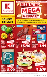 Aktueller Kaufland Supermarkt Prospekt in Ingelheim und Umgebung, "Sonderbeilage" mit 8 Seiten, 02.01.2025 - 08.01.2025