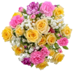 Kaufland Hohenseeden - Nelken-Sprayrosenstrauß Angebot im Prospekt Nelken-Sprayrosenstrauß bei Kaufland im Hohenseeden Prospekt für 5,99 €