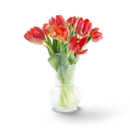 Aktuelles Tulpenstrauß Angebot bei Kaufland in Bremen ab 5,99 €