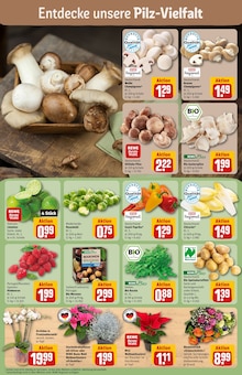 Blumen im REWE Prospekt "Dein Markt" mit 32 Seiten (Augsburg)