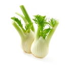 Fenouil à Carrefour Market dans Marigné-Laillé Fenouil à Carrefour Market dans Marigné-Laillé