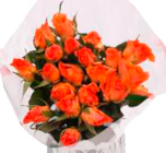 EDEKA - Herbsttulpen oder Moosrosen Angebot im Prospekt Herbsttulpen oder Moosrosen bei EDEKA im Prospekt "" für 3,49 €