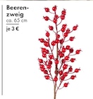 Beerenzweig Angebote bei TEDi Hagen für 3,00 €