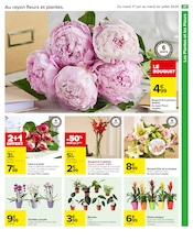 Plantes Angebote im Prospekt "PETIT-DÉJEUNER" von Carrefour Plantes Angebote im Prospekt "PETIT-DÉJEUNER" von Carrefour auf Seite 39