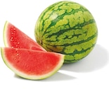 Netto mit dem Scottie Wittstock - Mini Wassermelone Angebot im Prospekt Mini Wassermelone bei Netto mit dem Scottie im Wittstock Prospekt für 1,89 €