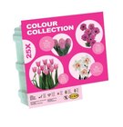 Bulbes de fleurs "collection" - Lidl à Versailles Bulbes de fleurs "collection" en promo chez Lidl Versailles à 2,40 €