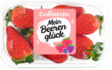 Brombeeren Angebote von Driscoll's bei E center Elmshorn für 2,99 €