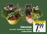 Zinkschale  im aktuellen EDEKA Prospekt für 7,99 €