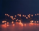 Guirlande lumineuse grappe à 300 micro-LED cuivre intérieur/extérieur sur câble noir - 4 m à Botanic dans Villefranche-sur-Saône