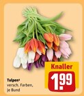 REWE Neukirchen - Tulpen Angebot im Prospekt Tulpen bei REWE im Neukirchen Prospekt für 1,99 €