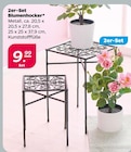 Blumenhocker 2er-Set im aktuellen Netto mit dem Scottie Prospekt