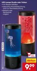 LED Lampe Qualle im Angebot bei Netto Marken-Discount in Halle LED Lampe Qualle Angebote bei Netto Marken-Discount Halle für 9,99 €