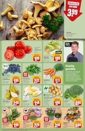 REWE Stauden im Prospekt 