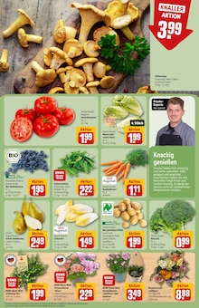 Pfifferlinge im REWE Prospekt "Dein Markt" mit 38 Seiten (Hamburg)