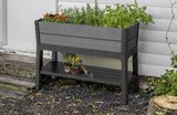 Hochbeet  im aktuellen Hornbach Prospekt für 109,00 €