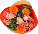 Blumenstrauß Brenda im Angebot bei GLOBUS in Salzgitter Blumenstrauß Brenda Angebote bei GLOBUS Salzgitter für 11,99 €