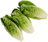 Aktuelle Gemüse Angebote bei REWE in Recklinghausen Aktuelles Romana Salatherzen Angebot bei REWE in Recklinghausen ab 1,11 €