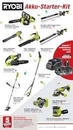 Aster Angebot & Preis im aktuellen toom Baumarkt Prospekt Aster Angebot im aktuellen toom Baumarkt Prospekt auf Seite 14