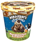 Ice Cream Marshmallow & S’more, Ice Cream Cookie Dough Angebote von Ben & Jerry's bei REWE Essen für 4,44 €
