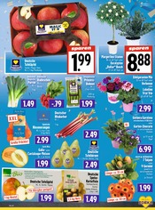 Aktueller EDEKA Prospekt mit Kartoffeln, "Aktuelle Angebote", Seite 5