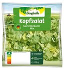 Aktuelle Gemüse Angebote bei REWE in Mülheim (Ruhr) Aktuelles Wildkräutersalat Angebot bei REWE in Mülheim (Ruhr) ab 1,66 €