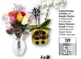 Schmetterlingsorchidee mit Neujahr-Stecker Angebote bei Marktkauf Aalen für 5,99 €