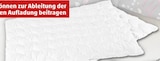 Aktuelles Steppbett mit Carbonfäden Angebot bei Penny in Cottbus ab 14,99 €